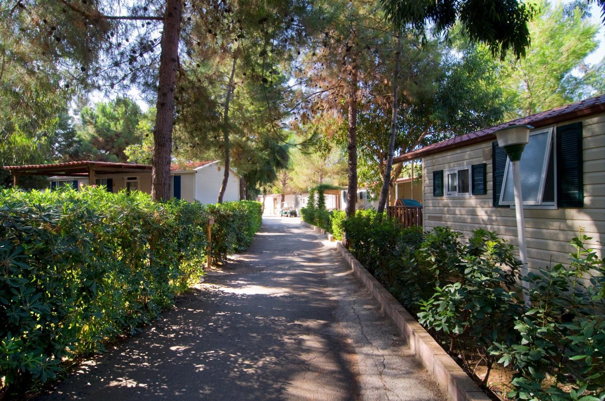 Villaggio Odissea Parque de vacaciones Marina di Camerota